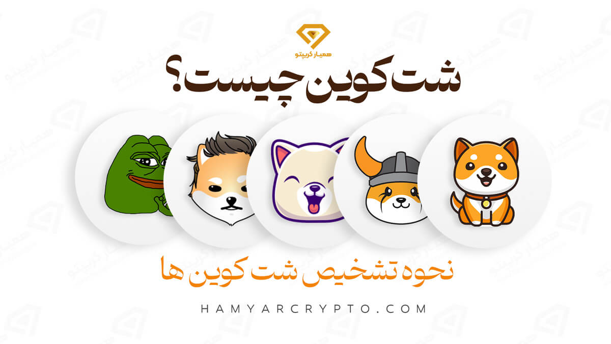 شت کوین چیست؟