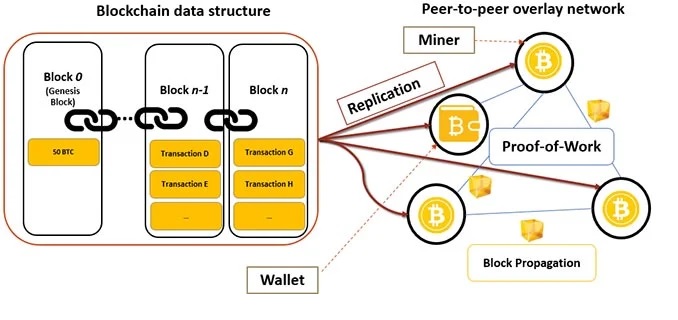 شبکه های نقل و انتقال در بلاکچین