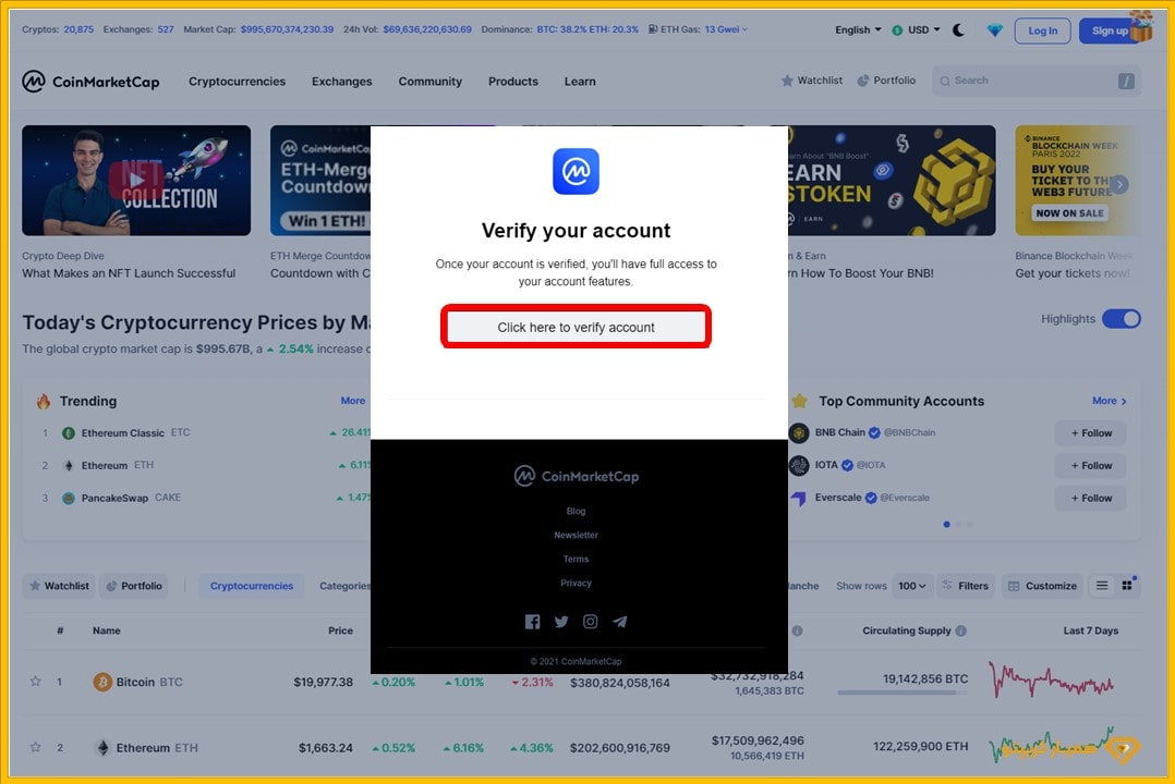 آموزش کوین مارکت کپ