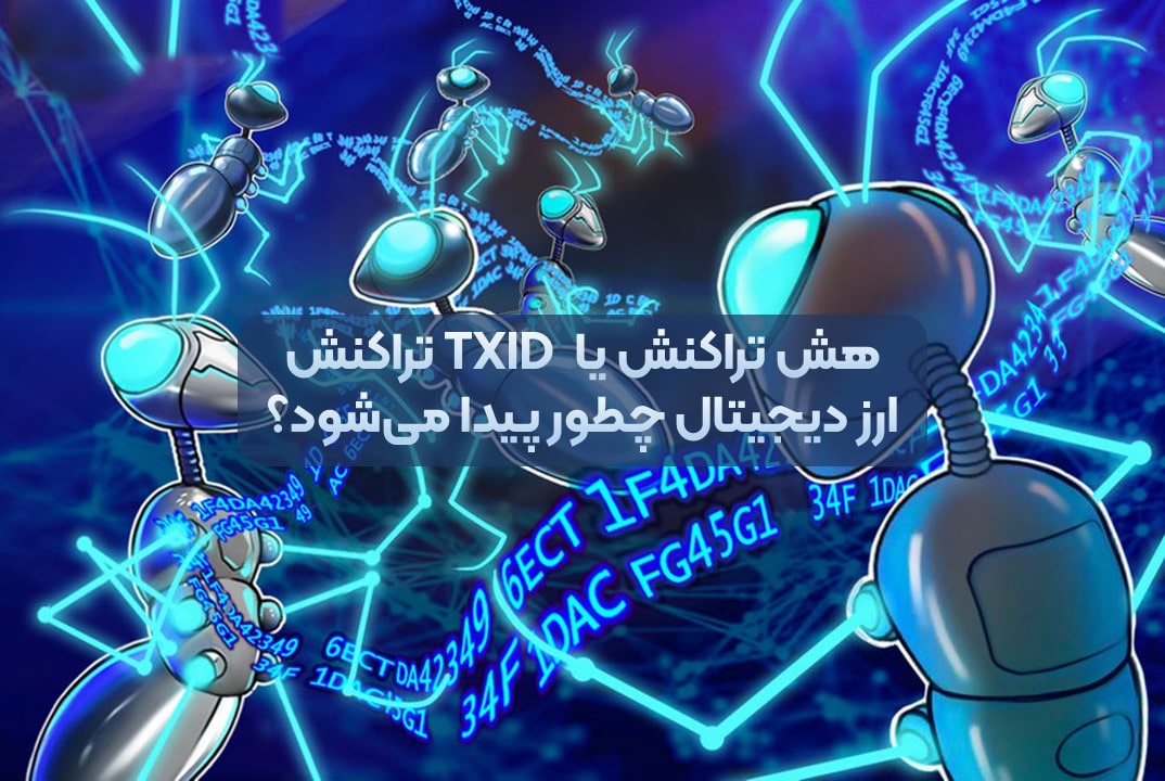 هش تراکنش چیست