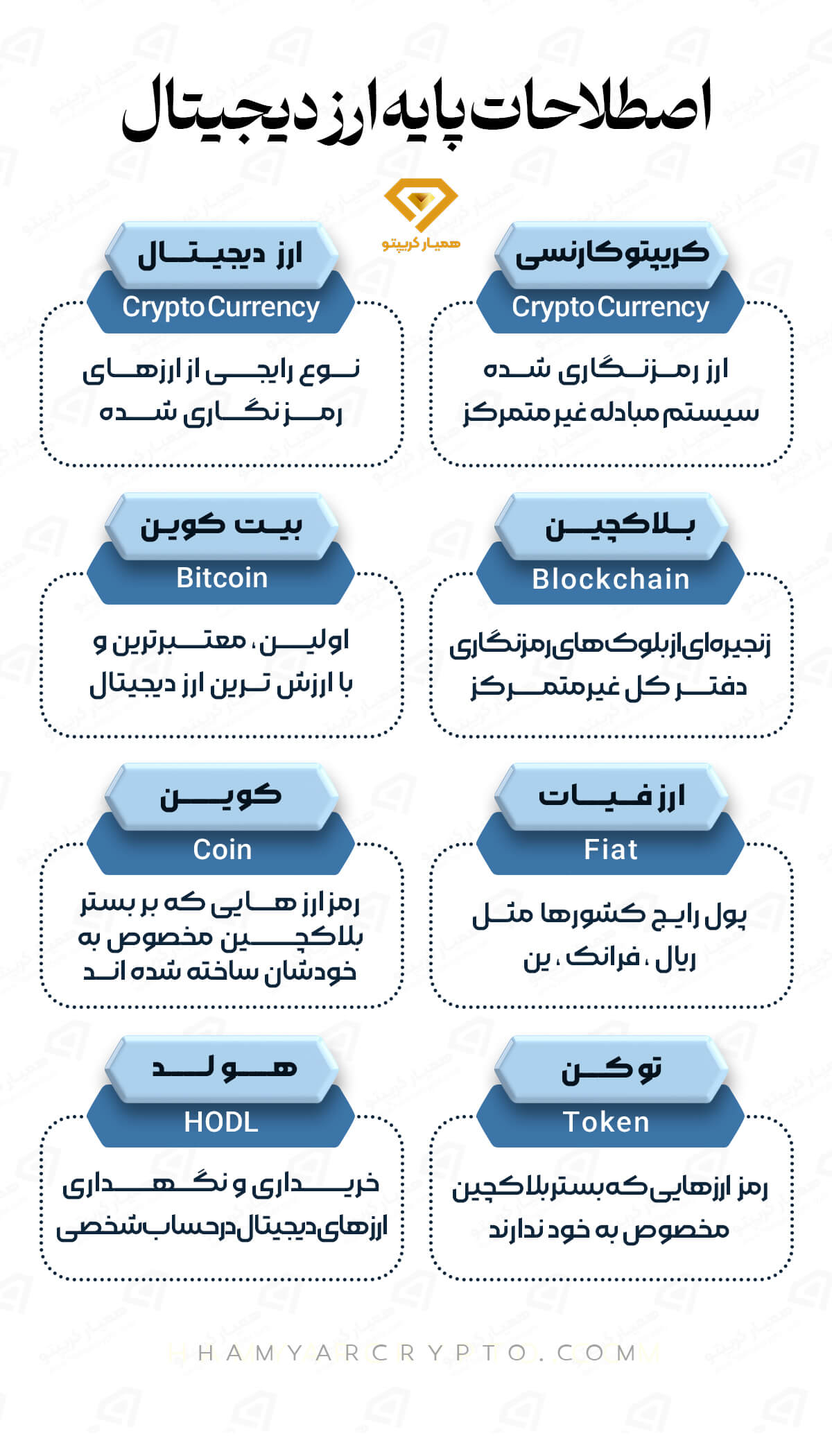 cryptocurrency infography