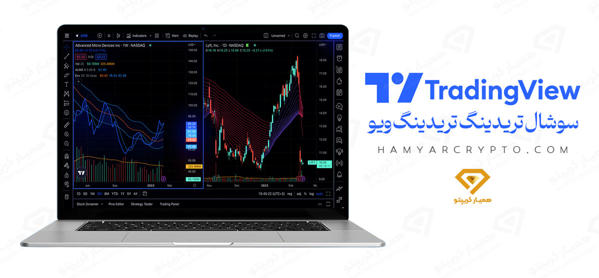 سوشال تریدینگ