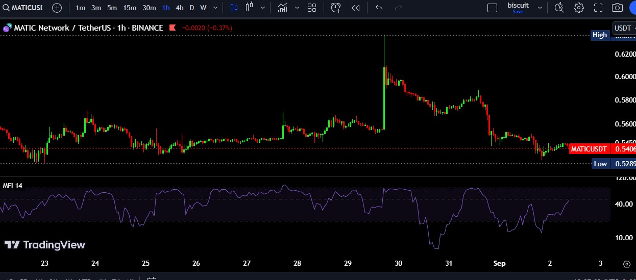 ارز دیجیتال پالیگان