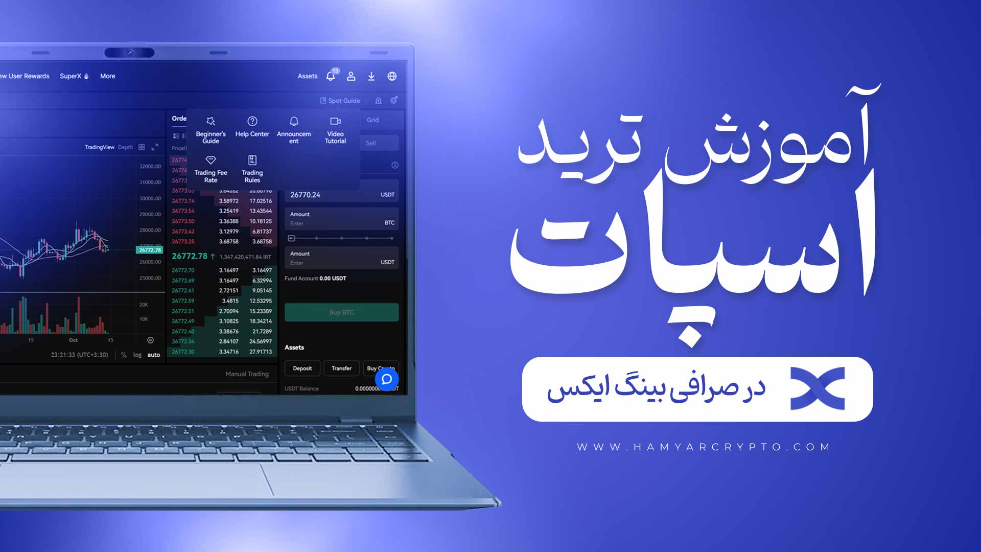 آموزش اسپات در صرافی بینگ ایکس