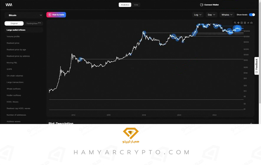 آموزش ردیابی نهنگ های ارز دیجیتال