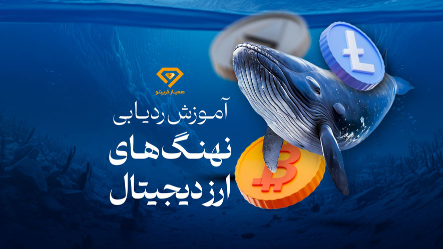 نهنگ های ارز دیجیتال