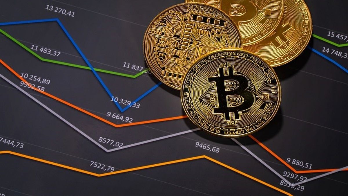 images 1706361187 65b5016361a0c