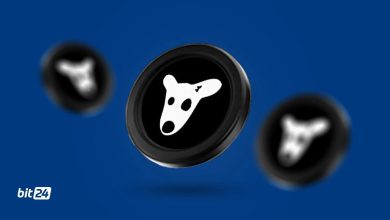 images 1724502896 66c9d370bddc5