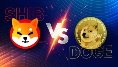 l7zh9qiKWQKUZtdpGYPMKKswS6zP46PdcFvsGbdm