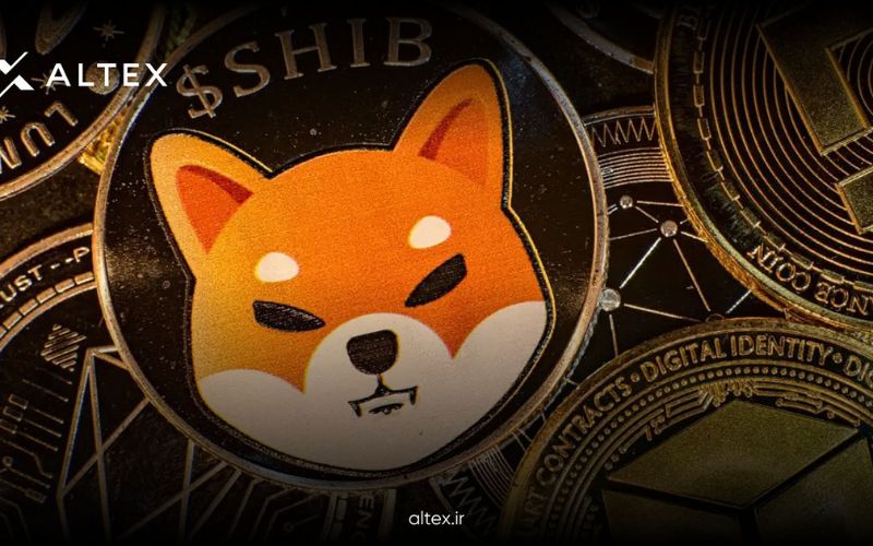 تحلیل بنیادی شیبا اینو