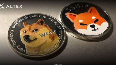 WohKpDWThrqkV2xWDdaejSAnBTbSQPMeQfLGtZ9G